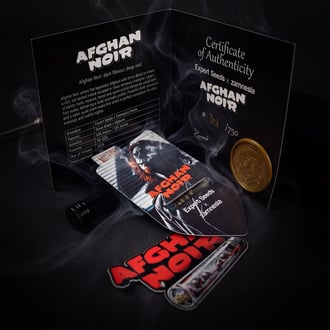 Afghan Noir (Zamnesia Seeds x Expert Seeds) feminizada