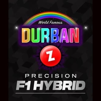 Durban Z F1 (Barney's Farm) feminizadas