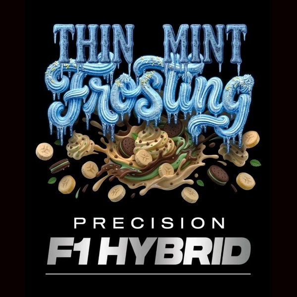 Thin Mint Frosting F1 (Barney's Farm) feminizada