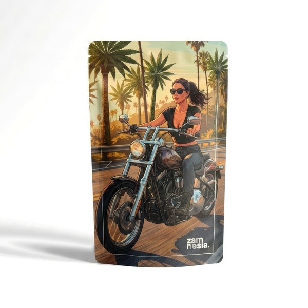 Bad Bitches Bolsa Z-Lock (Extra Grande)