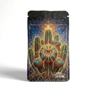 Bolsa Antiolor con Cierre Z-Lock The Breakthrough (Pequeña)