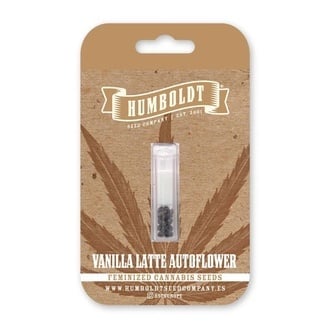 Vanilla Latte Auto (Humboldt Seed Company) Feminizada