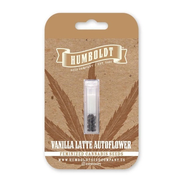 Vanilla Latte Auto (Humboldt Seed Company) Feminizada