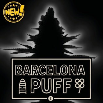 Barcelona Puff Auto (Seedstockers) Feminizada