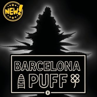 Barcelona Puff Auto (Seedstockers) Feminizada