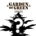 Semilla Misteriosa CBD 1 (Garden of Green)