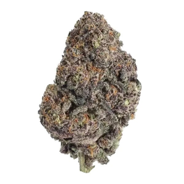 Papayton (Fast Buds) Feminizada