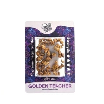 Golden Teacher Trufas M&aacute;gicas