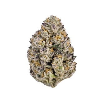 Lemon Cherry Runtz (FastBuds) feminized