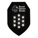 Semilla Misteriosa Autofloreciente 10 (Royal Queen Seeds)