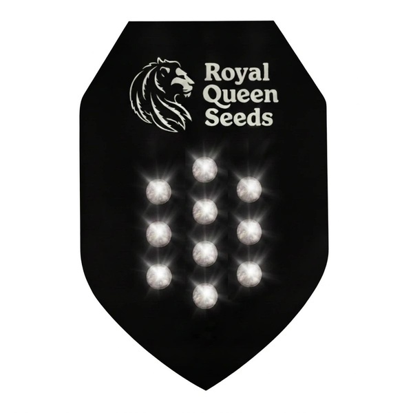 Semilla Misteriosa Autofloreciente 10 (Royal Queen Seeds)