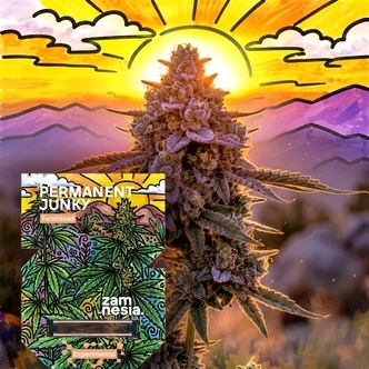 Permanent Junky (Zamnesia Seeds) Feminizada