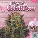 Bubblegum (T.H. Seeds) Feminizada