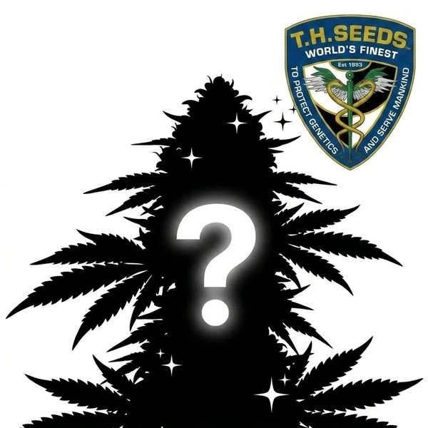Semillas Misteriosas Autoflorecientes 2 (T.H. Seeds)