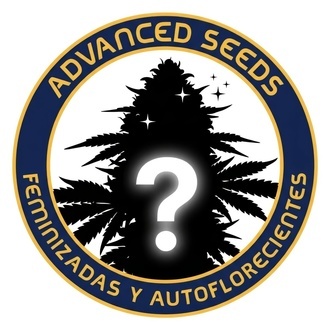 Semillas Mystery Feminizadas 2 (Advanced Seeds)