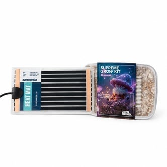 Pack Aniversario de Setas