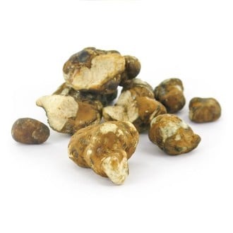 Trufas Mágicas Tampanensis