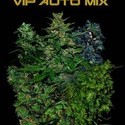 VIP Auto Mix (VIP Seeds) feminizada