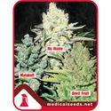 Coleccíon 4 (Medical Seeds) feminizada