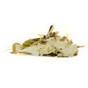 Loto Blanco (20 gramos)