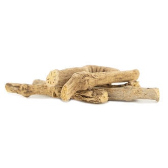 African Dream Root (5 gramos)