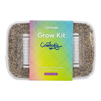 Kit de Cultivo Zamnesia 'Cambodia'