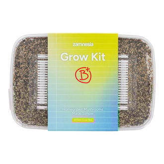 Kit de Cultivo Zamnesia 'B+'
