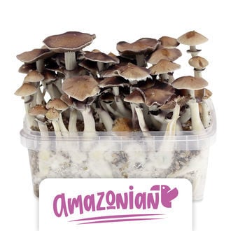 Kit de Cultivo Zamnesia 'PES Amazonian'