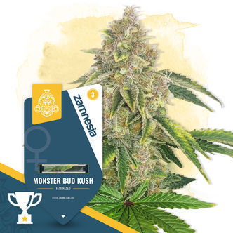 Monster Bud Kush (Zamnesia Seeds) feminizada