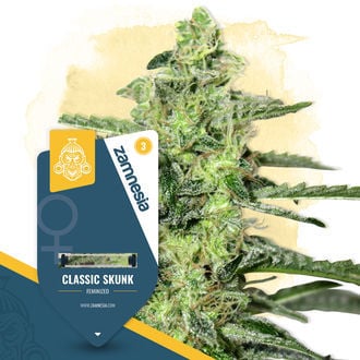 Classic Skunk (Zamnesia Seeds) feminizada