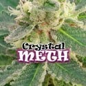 Crystal M.E.T.H. (Dr. Underground) feminizada