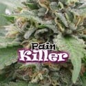 PainKiller (Dr. Underground) feminizada