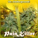 PainKiller (Dr. Underground) feminizada