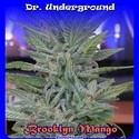 Brooklyn Mango (Dr. Underground) feminizada