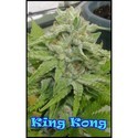 King Kong (Dr. Underground) feminizada