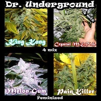 Killer Mix (Dr. Underground) feminizada