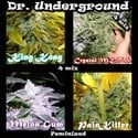 Surprise Killer Mix (Dr. Underground) feminizada