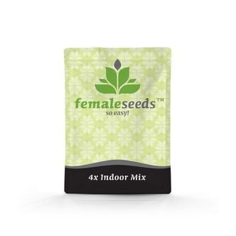 Indoor Mix (Female Seeds) feminizada