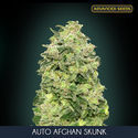 Auto Afghan Skunk (Advanced Seeds) feminizada