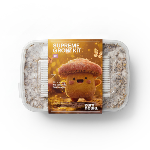 Kit de Cultivo Zamnesia SUPREME 'B+'