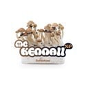 Kit de Cultivo Fresh Mushrooms 'McKennaii'