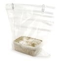 Kit de Cultivo Fresh Mushrooms 'McKennaii'