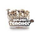 Kit de Cultivo Fresh Mushrooms 'Golden Teacher'