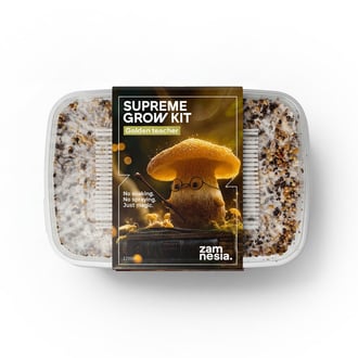 Kit de Cultivo Zamnesia SUPREME 'Golden Teacher'