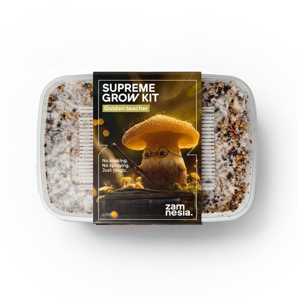 Kit de Cultivo Zamnesia SUPREME 'Golden Teacher'