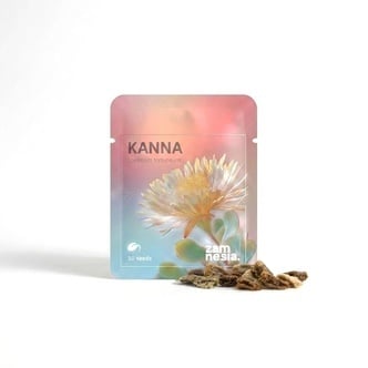 Kanna (Sceletium tortuosum) 10 semillas