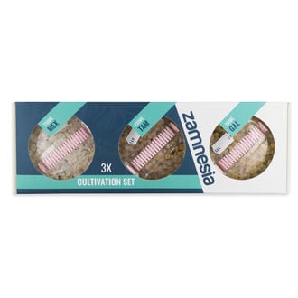 Juego De Cultivo De Trufas Mágicas Zamnesia