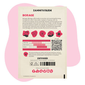 Buddy Pack de Borraja (Borago officinalis)