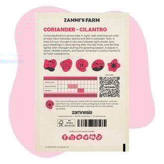 Buddy Pack de Cilantro (Coriandrum sativum)