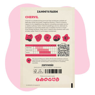 Buddy Pack de Perifollo (Anthriscus cerefolium)